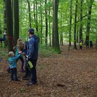 small_IMGP9319