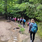 IMG_20250718_110530