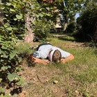 IMG_5162