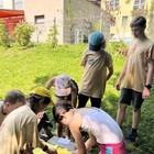 IMG_5224