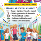 Snímek obrazovky 2026-03-25 110026