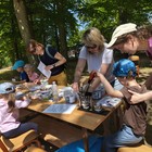 1779783646382